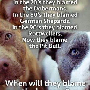 Meet your Posher, Gregg